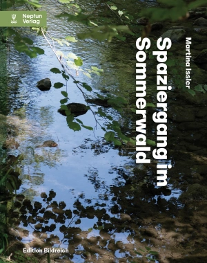 Spaziergang im Sommerwald