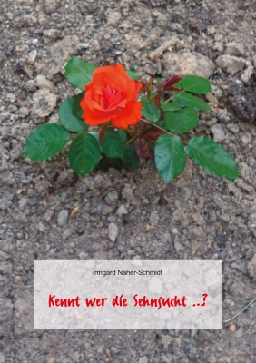 Kennt wer die Sehnsucht ...?