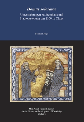 Domus solaratae - Untersuchungen zu Steinhaus und Stadtentstehung um 1100 in Clu