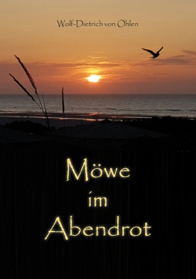 Möwe im Abendrot