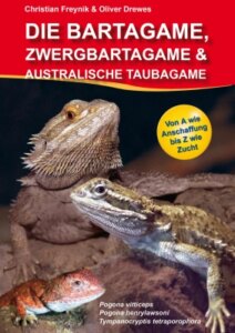 Die Bartagame, Zwergbartagame & Australische Taubagame