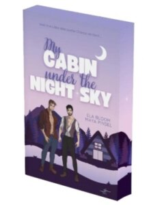 My Cabin under the Night Sky – Mattis & Kilian